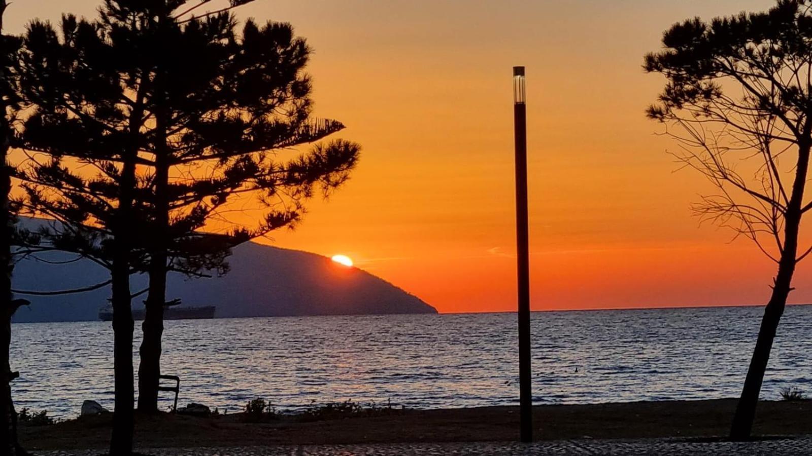 Happy Blue 2 * Vlora
